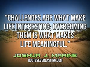 challenges-are-what-makes-us-interesting